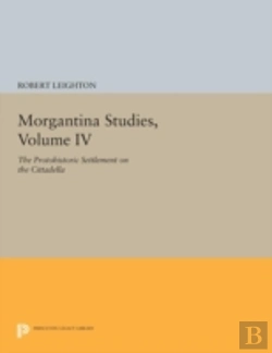 Bertrand.pt - Morgantina Studies, Volume Iv