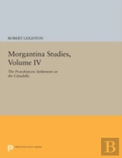 Morgantina Studies, Volume Iv