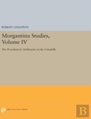 Morgantina Studies, Volume Iv
