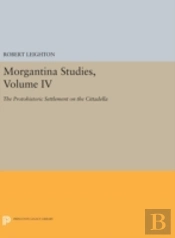 Morgantina Studies, Volume Iv