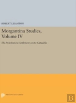 Bertrand.pt - Morgantina Studies, Volume Iv