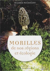 Morilles De Nos Régions Et Écologie
