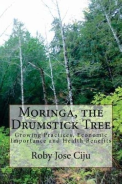 Bertrand.pt - Moringa, The Drumstick Tree