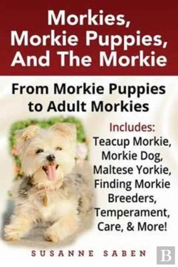 Bertrand.pt - Morkies, Morkie Puppies, And The Morkie