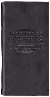 Morning And Evening - Matt Black