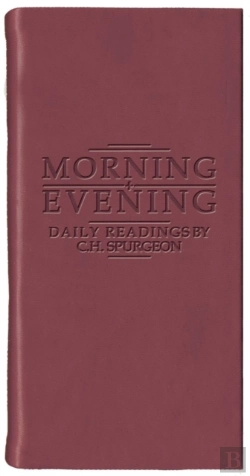 Bertrand.pt - Morning And Evening - Matt Burgundy