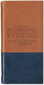 Morning And Evening - Matt Tan/Blue