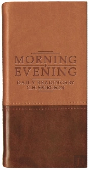 Morning And Evening - Matt Tan/Burgundy