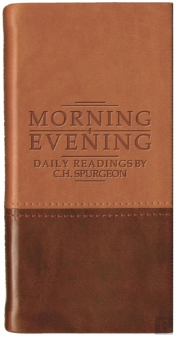 Bertrand.pt - Morning And Evening - Matt Tan/Burgundy