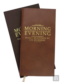 Bertrand.pt - Morning And Evening Tan Leather
