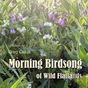 Morning Birdsong Of Wild Flatlands