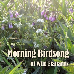 Bertrand.pt - Morning Birdsong Of Wild Flatlands