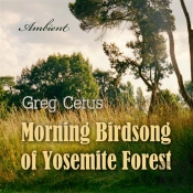 Morning Birdsong Of Yosemite Forest
