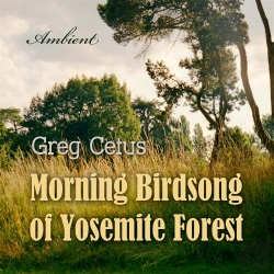Bertrand.pt - Morning Birdsong Of Yosemite Forest