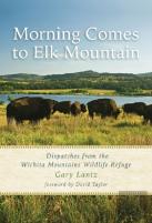 Morning Comes To Elk Mountain