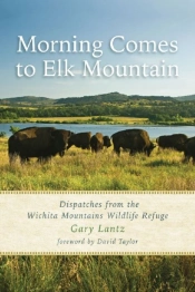 Morning Comes To Elk Mountain