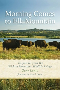 Bertrand.pt - Morning Comes To Elk Mountain