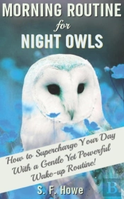 Morning Routine For Night Owls