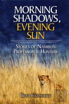 Morning Shadows, Evening Sun