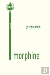 Morphine Suivi De Paysages Sans Preuves