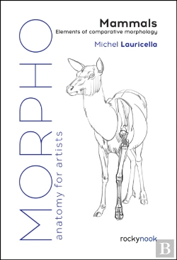 Bertrand.pt - Morpho: Mammals