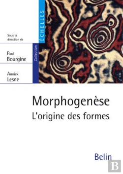 Bertrand.pt - Morphogenèse ; L'Origine Des Formes