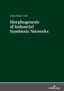 Morphogenesis Of Industrial Symbiotic Networks