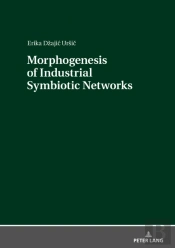 Morphogenesis Of Industrial Symbiotic Networks