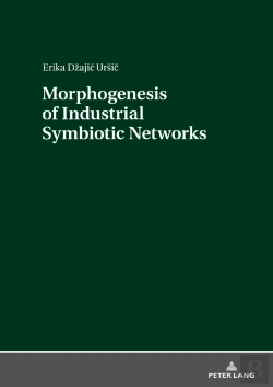 Bertrand.pt - Morphogenesis Of Industrial Symbiotic Networks