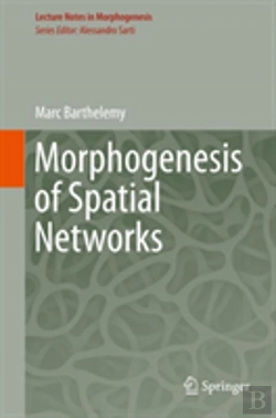 Bertrand.pt - Morphogenesis Of Spatial Networks