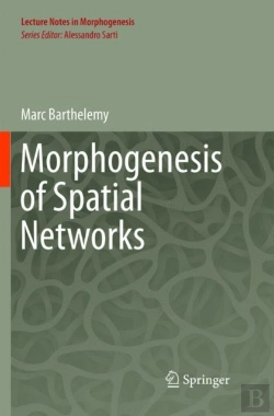 Bertrand.pt - Morphogenesis Of Spatial Networks