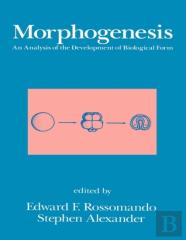 Morphogenesis