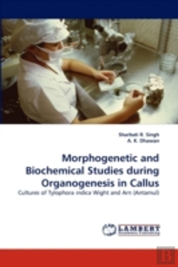 Bertrand.pt - Morphogenetic And Biochemical Studies During Organogenesis In Callus
