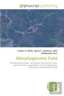 Morphogenetic Field