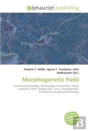 Morphogenetic Field