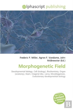Bertrand.pt - Morphogenetic Field