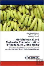 Morphological And Molecular Characterization Of Banana Cv Grand Naine