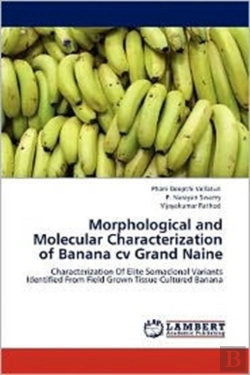 Bertrand.pt - Morphological And Molecular Characterization Of Banana Cv Grand Naine
