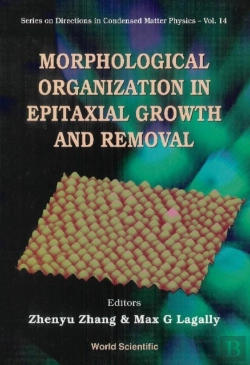 Bertrand.pt - Morphological Organization In Epitaxial Growth And Removal