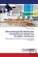 Morphological& Molecular Screening Of Wheat For Drought Resistance
