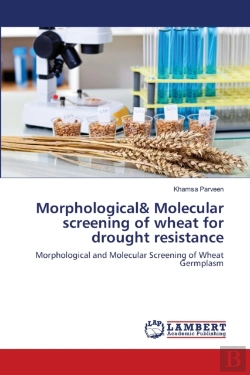 Bertrand.pt - Morphological& Molecular Screening Of Wheat For Drought Resistance