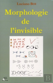 Morphologie De L'Invisible. Transformations D'Objets, Formes De L'Esp Ace, Singularite Phenomenales
