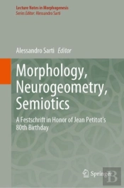 Morphology, Neurogeometry, Semiotics