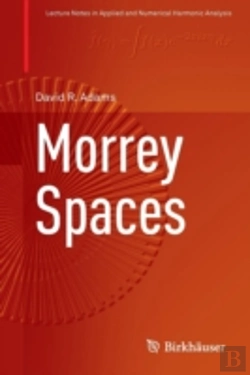 Bertrand.pt - Morrey Spaces