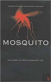 Mosquito