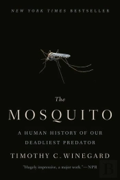 Mosquito