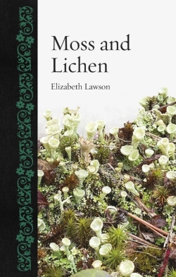 Bertrand.pt - Moss And Lichen