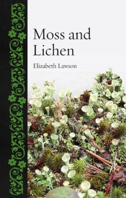 Bertrand.pt - Moss And Lichen