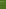 Moss Flora Of Central America, Part 3 - Anomodontaceae-Symphyodontaceae