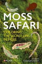 Moss Safari
